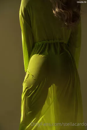 Stella Cardo / StellaStephan69 / Stellacardo / stella_cardo_official nude photo #1037