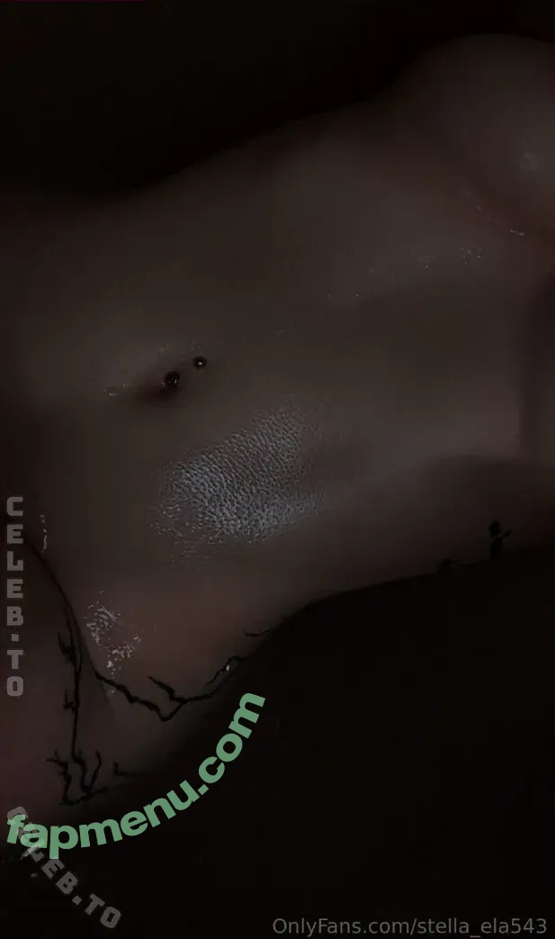 Stella_Ela543 nude photo #0044 (x._dasmaedchen_.x)