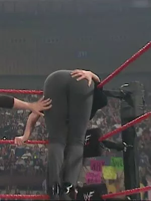 Stephanie McMahon / stephaniemcmahon nude photo #0326