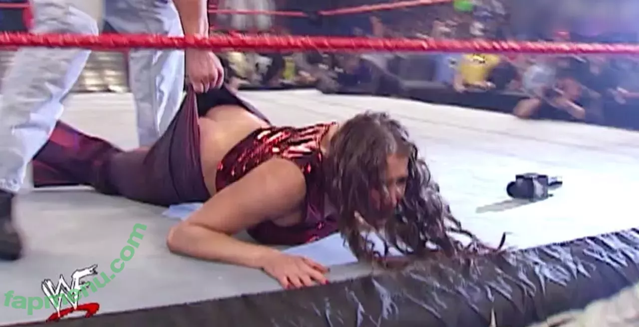 Stephanie McMahon nude photo #0045 (stephaniemcmahon)