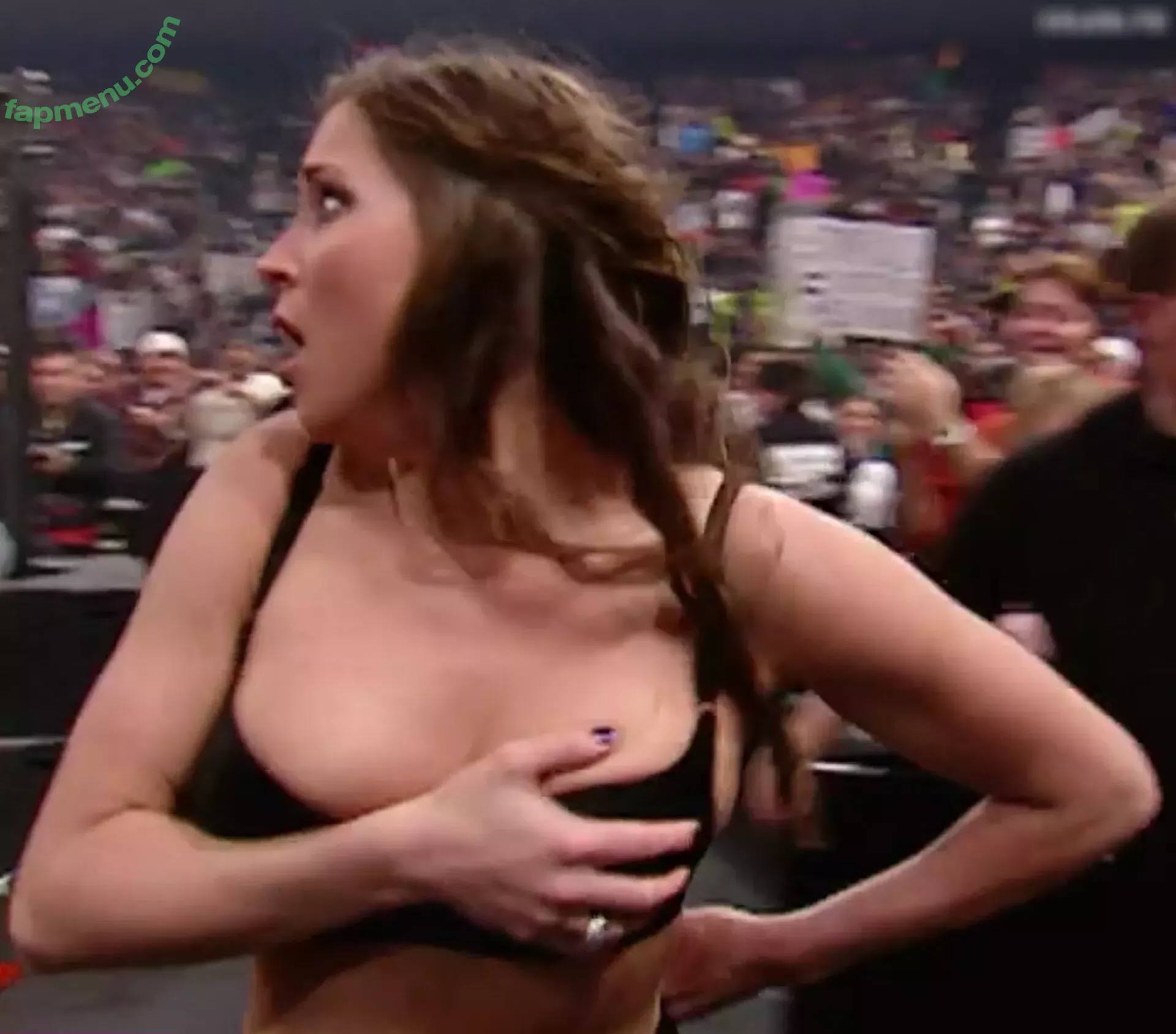 Stephanie McMahon nude photo #0123 (stephaniemcmahon)