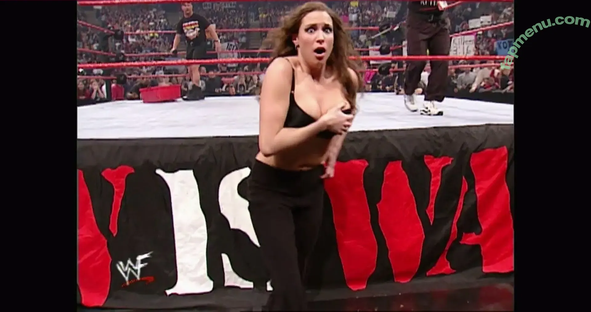 Stephanie McMahon nude photo #0445 (stephaniemcmahon)