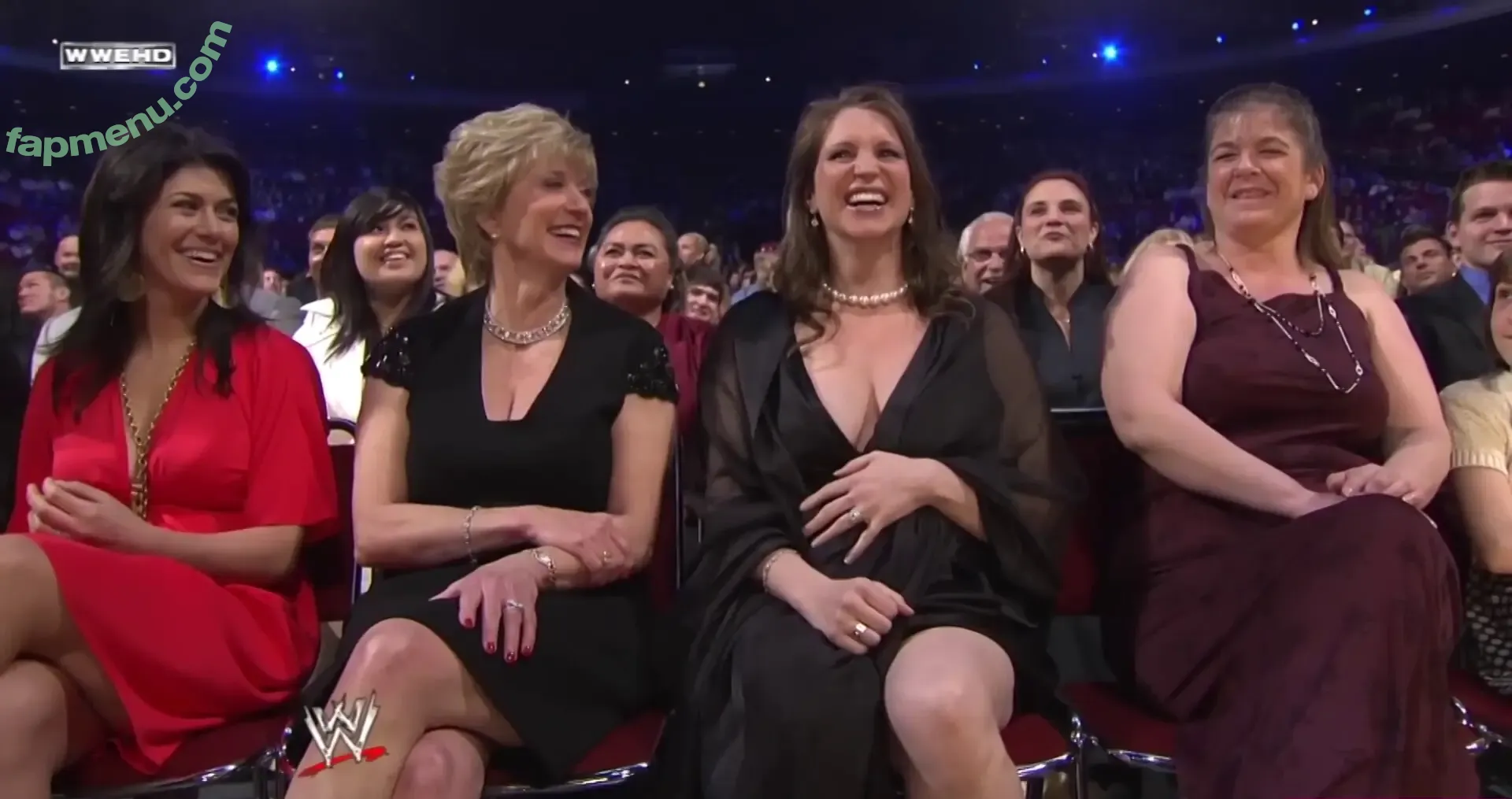 Stephanie McMahon nude photo #0471 (stephaniemcmahon)