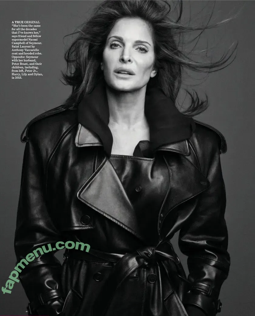 Stephanie Seymour nude photo #0228 (stephanieseymour)