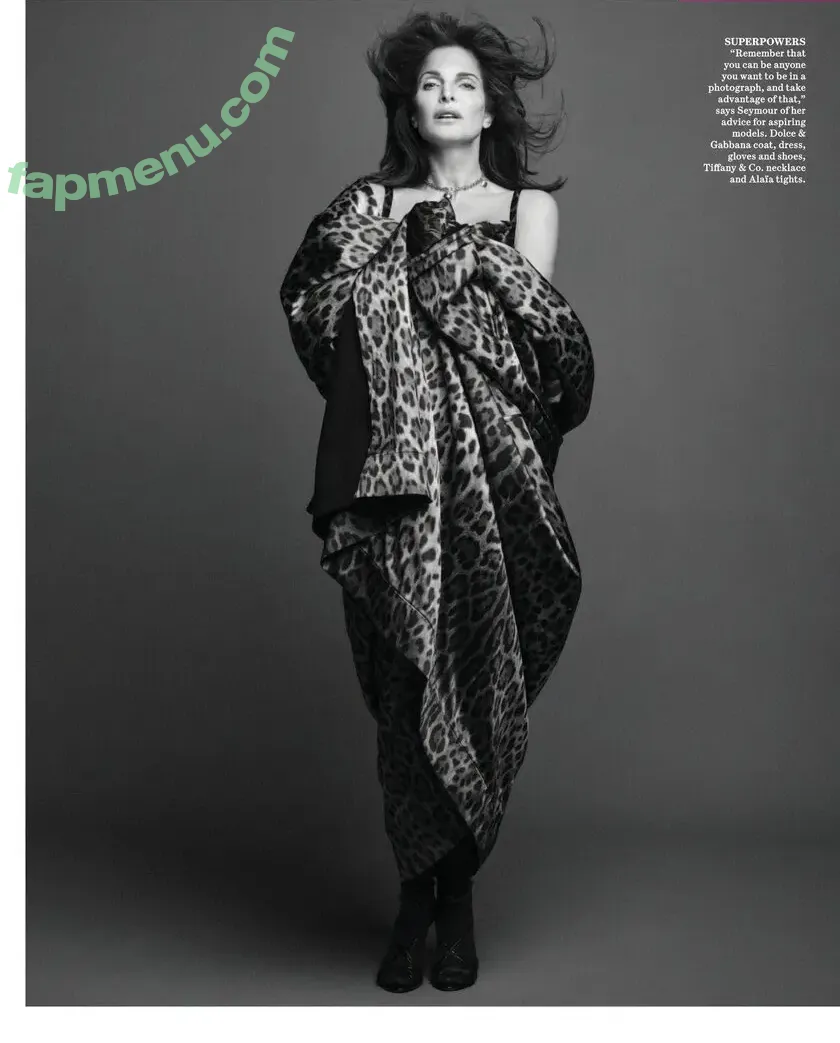 Stephanie Seymour nude photo #0229 (stephanieseymour)