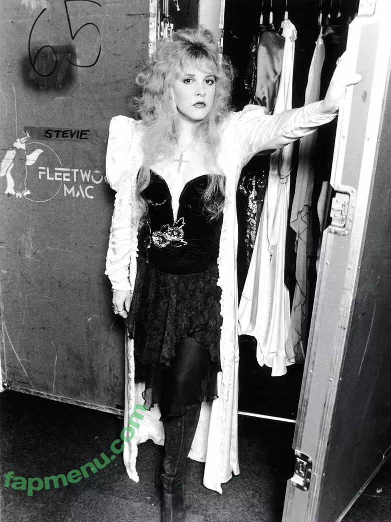 Stevie Nicks nude photo #0005 (stevienicks)