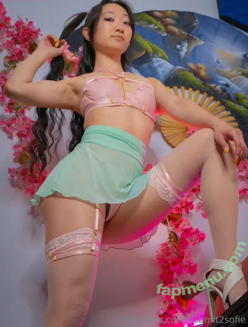 submit2sofie nude photo #0108 (slayerofliarsandscammers2.0)