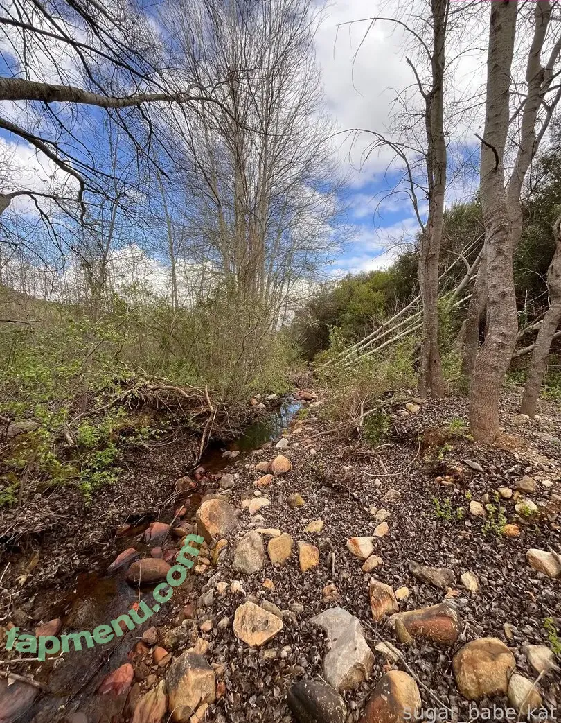 sugar_babe_kat nude photo #0008 (sugar_babe_kat_)