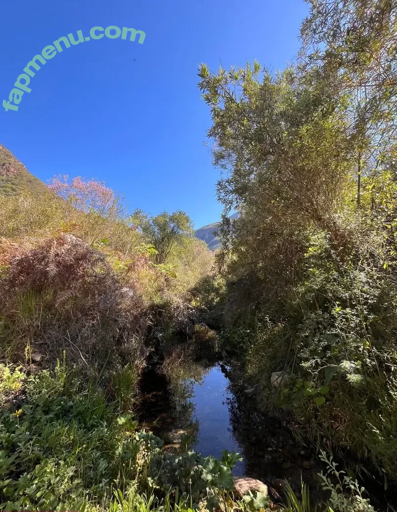 sugar_babe_kat nude photo #0013 (sugar_babe_kat_)