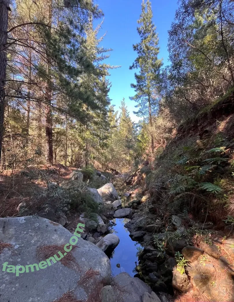 sugar_babe_kat nude photo #0015 (sugar_babe_kat_)