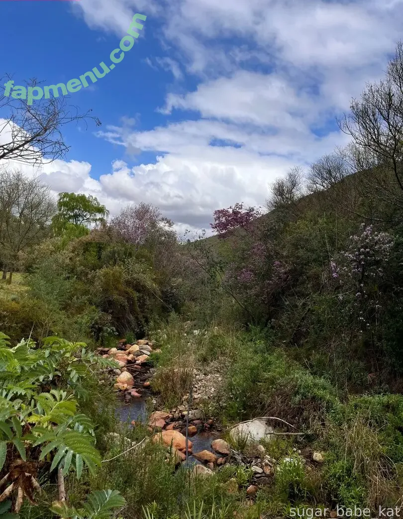 sugar_babe_kat nude photo #0017 (sugar_babe_kat_)