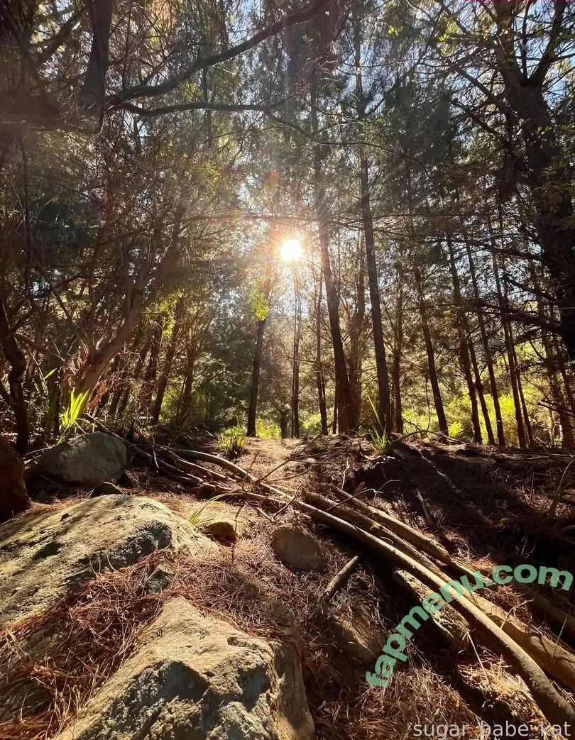 sugar_babe_kat nude photo #0026 (sugar_babe_kat_)