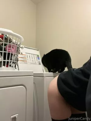 sugartime / sugartime.official nude photo #0379