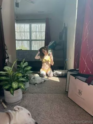 sugartime / sugartime.official nude photo #0390