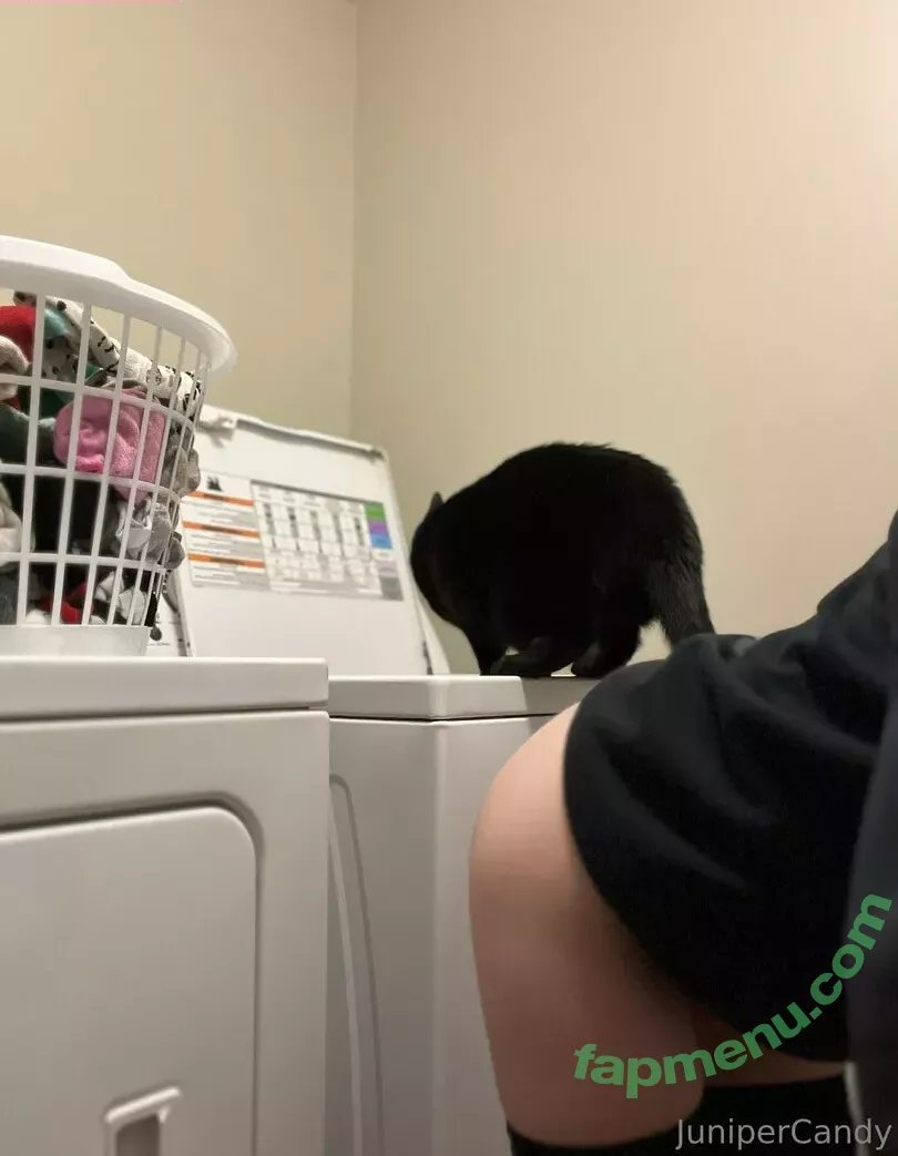 sugartime nude photo #0379 (sugartime.official)