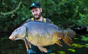 Summer Teale / summer_teale nude photo #0009