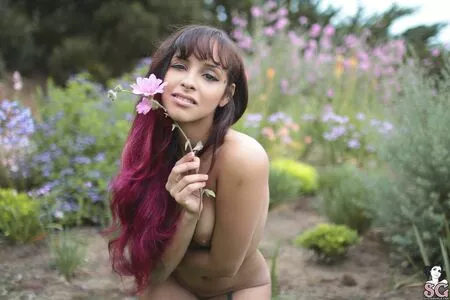 Sunny Suicide / Miss Sunny Holiday / sunny_suicide nude photo #0293