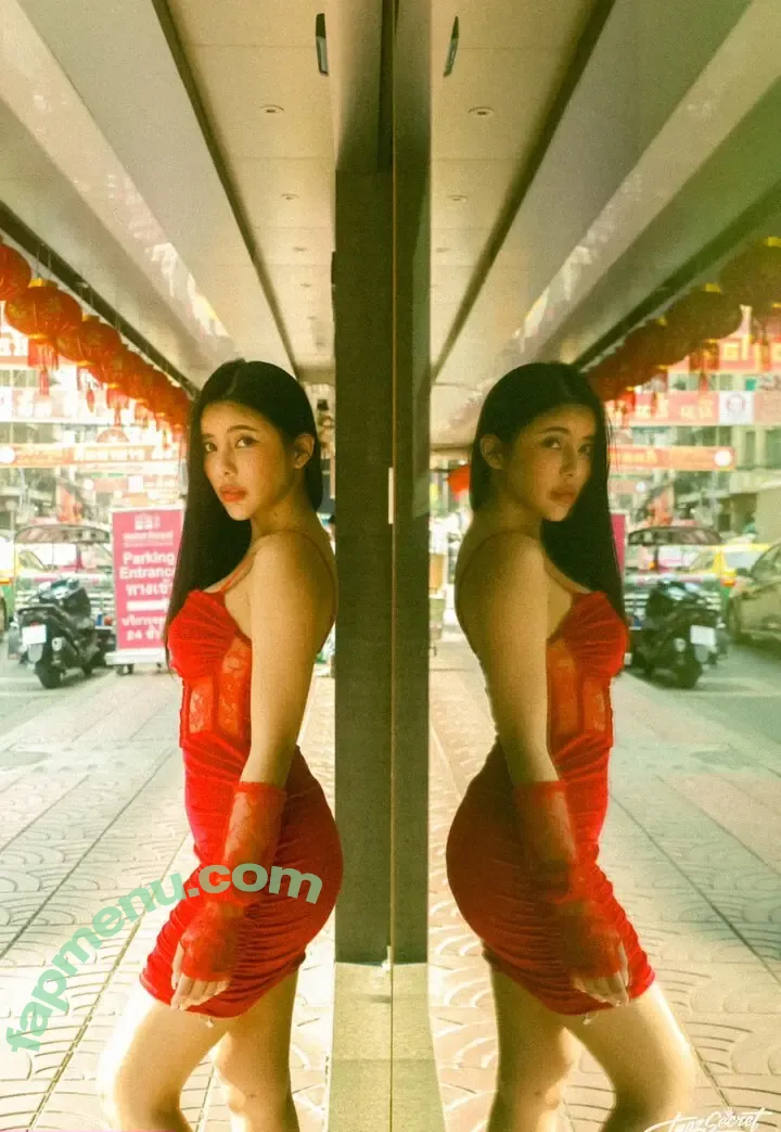 Supitcha Boonkumphong nude photo #0046 (namphungbwk)