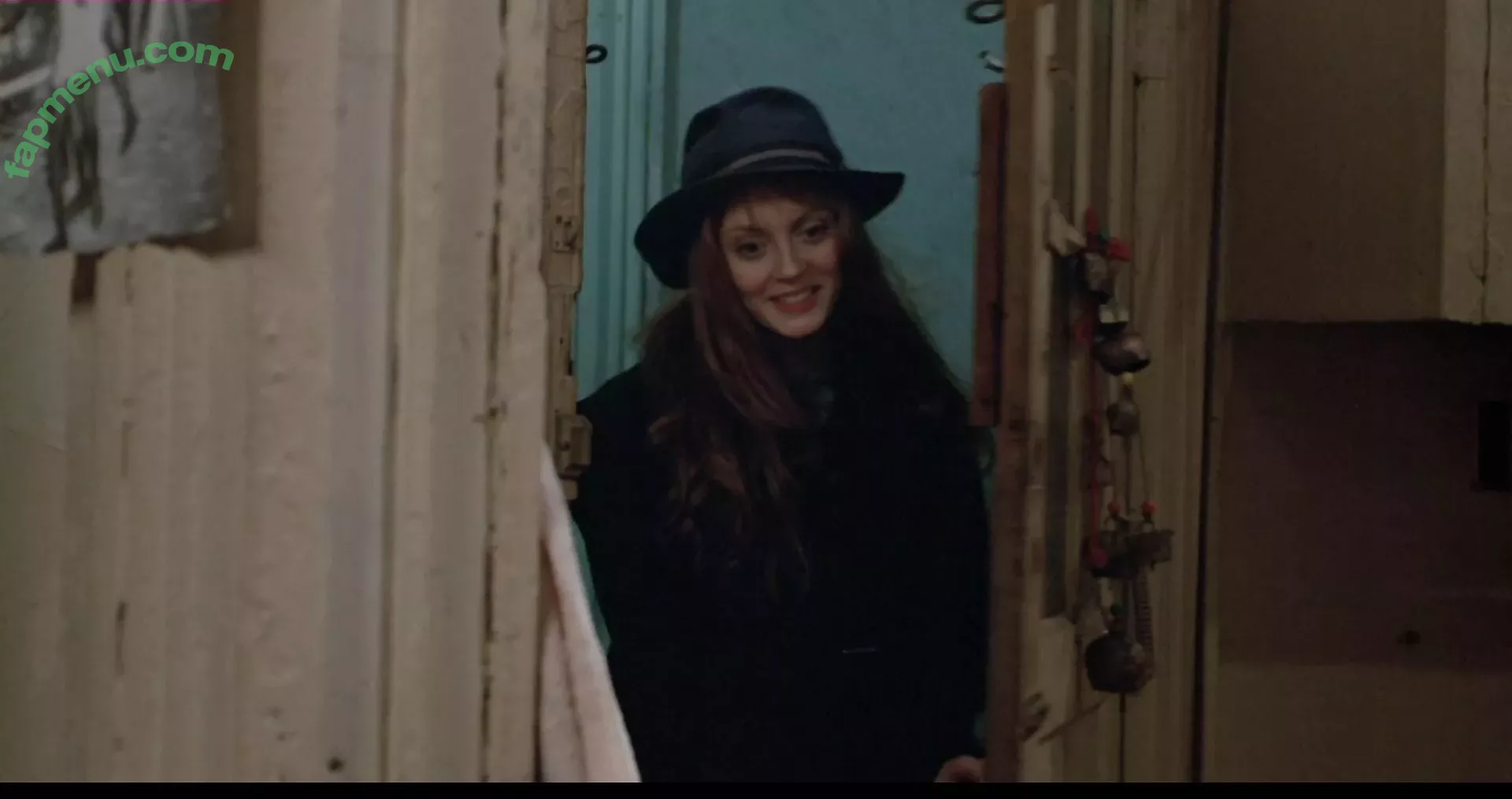 Susan Sarandon nude photo #0003 (susansarandon)