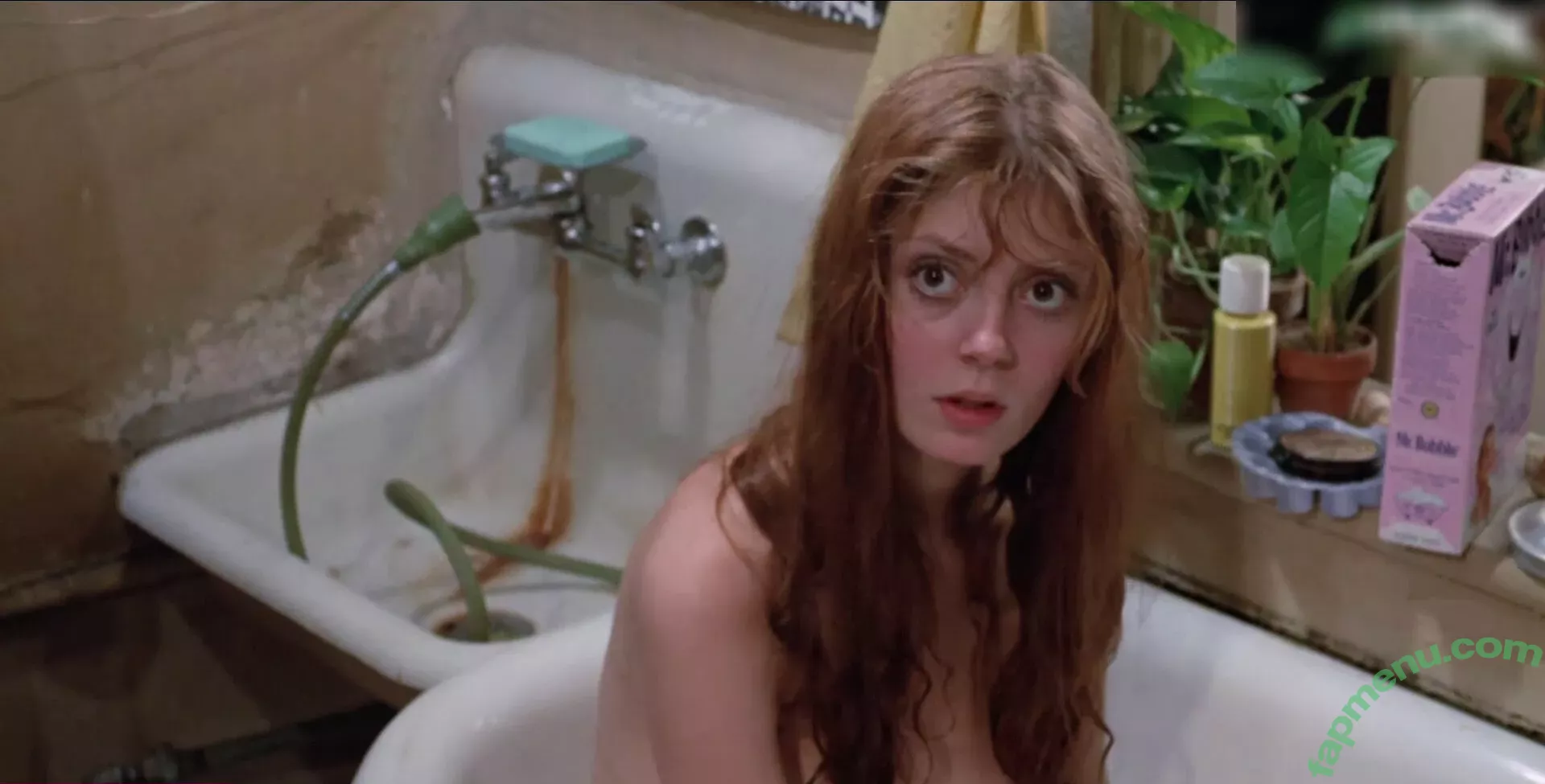 Susan Sarandon nude photo #0070 (susansarandon)