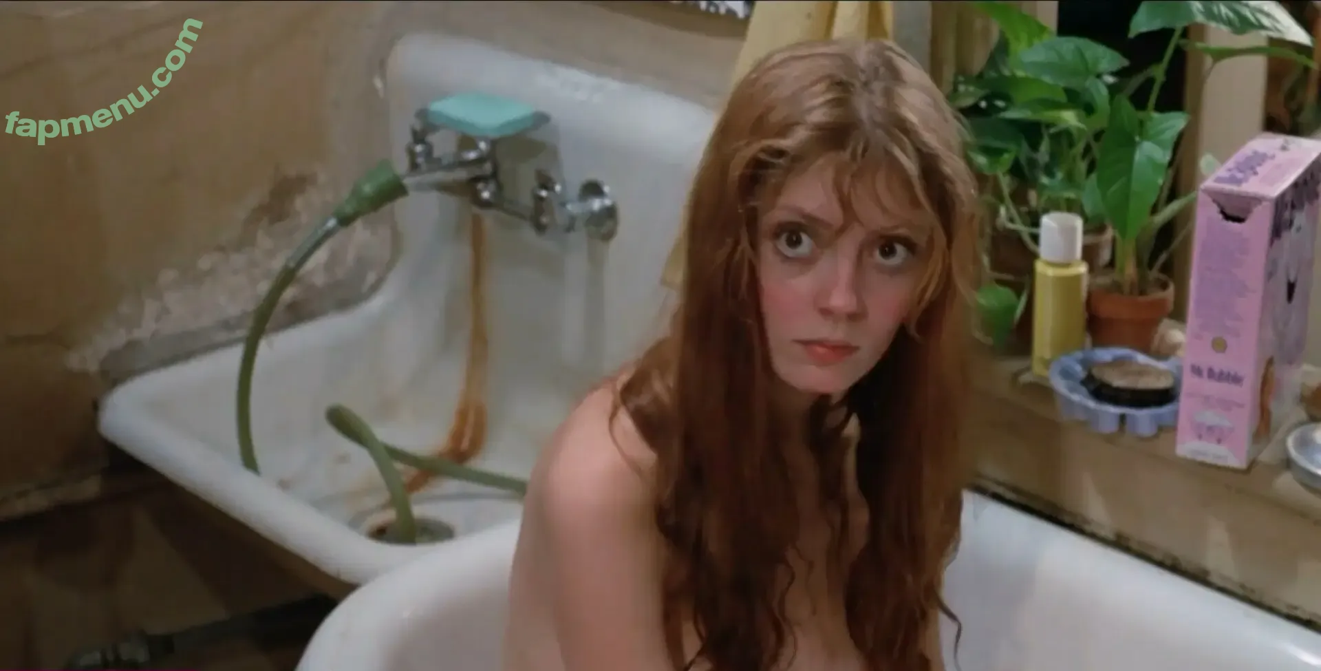 Susan Sarandon nude photo #0147 (susansarandon)