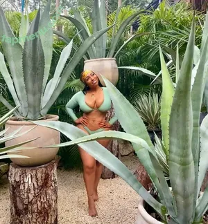 Sweet Tea / its.sweet.tea nude photo #0125