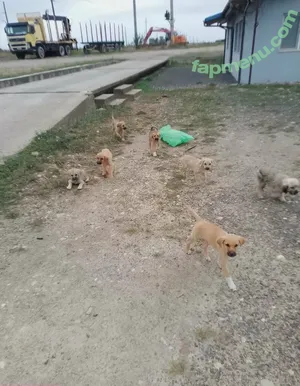 swiss-girl-vanessa / swissgirlvanessa nude photo #0055