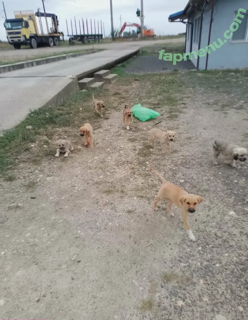 swiss-girl-vanessa nude photo #0055 (OFSGVanessa / people / swissgirlvanessa)