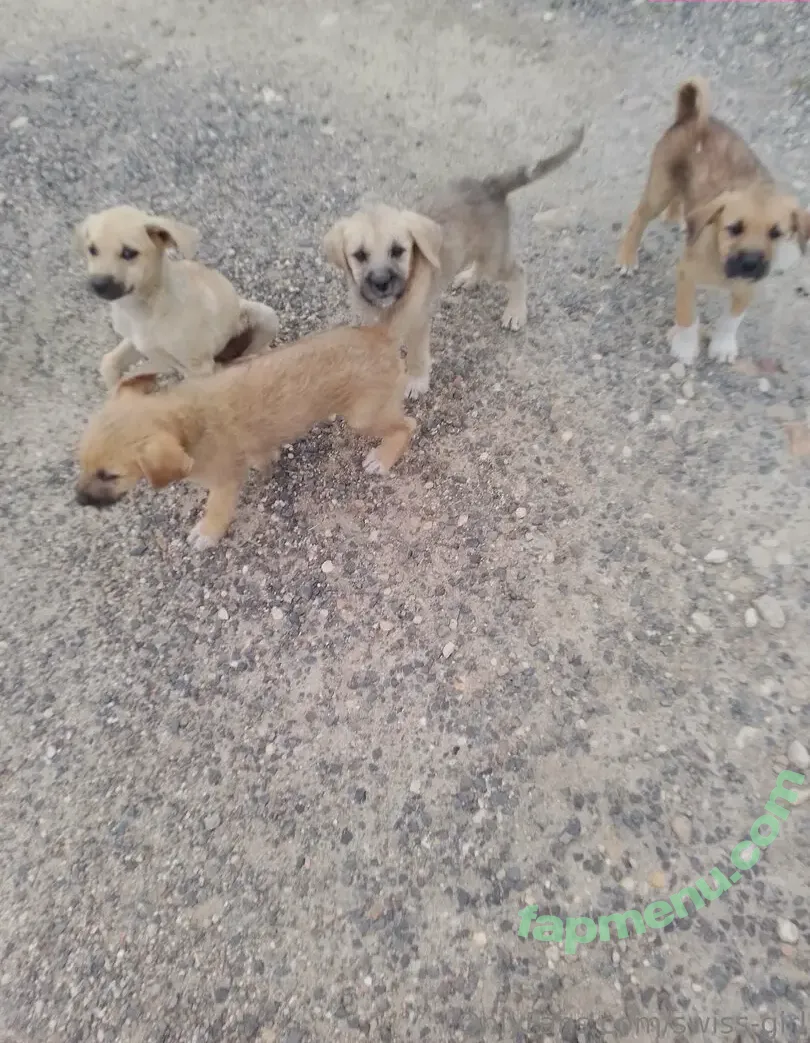 swiss-girl-vanessa nude photo #0056 (OFSGVanessa / people / swissgirlvanessa)