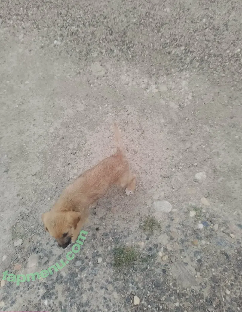 swiss-girl-vanessa nude photo #0057 (OFSGVanessa / people / swissgirlvanessa)