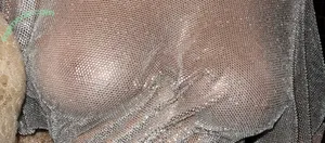 Sydney Sweeney / Sydney_Sweeney nude photo #3356