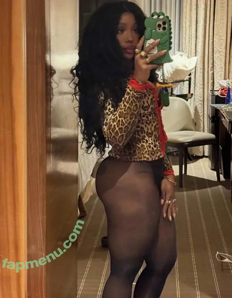 SZA | Solana Rowe nude photo #0025 (sza)