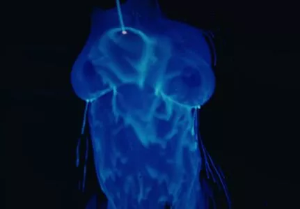SZA / Solana Rowe / thejad3x nude photo #0060