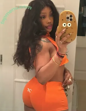 SZA / Solana Rowe / thejad3x nude photo #0507