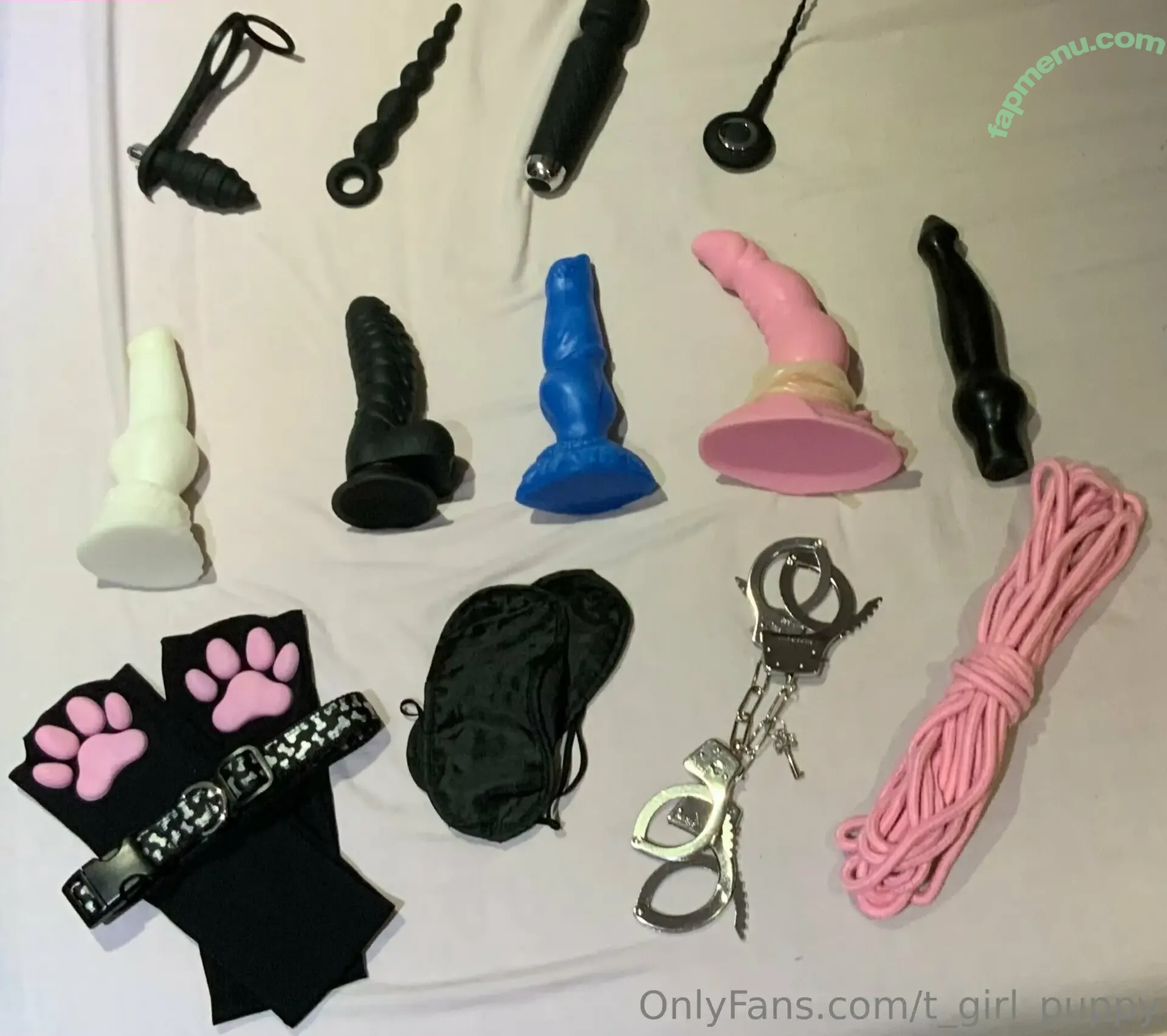 t_girl_puppy nude photo #0023 (t_girl_puppy)