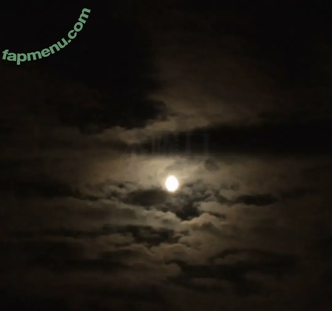 TameTheseImpalas nude photo #0089 (TameTheseImpalas)