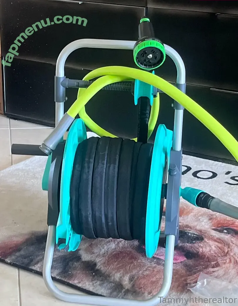 tammylh nude photo #0134 (tammyhtherealtor)