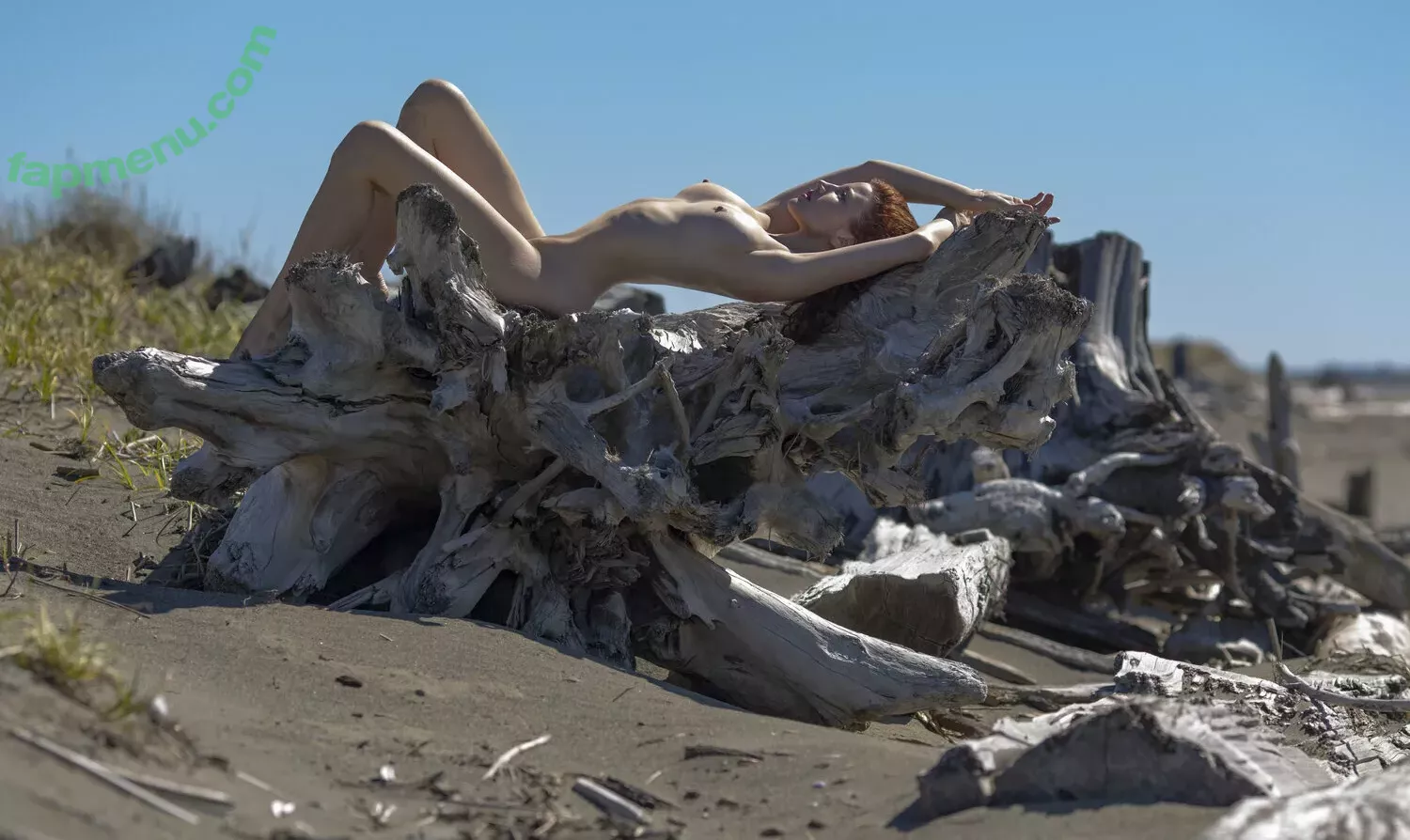 Taryn Terrell nude photo #0003 (iamtarynterrell / mercedesterrell)