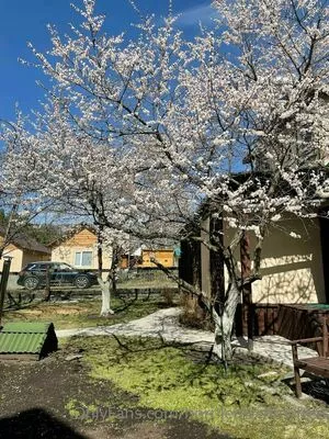 taya_bliss / @taya.blisss / taya_blissvip nude photo #0016