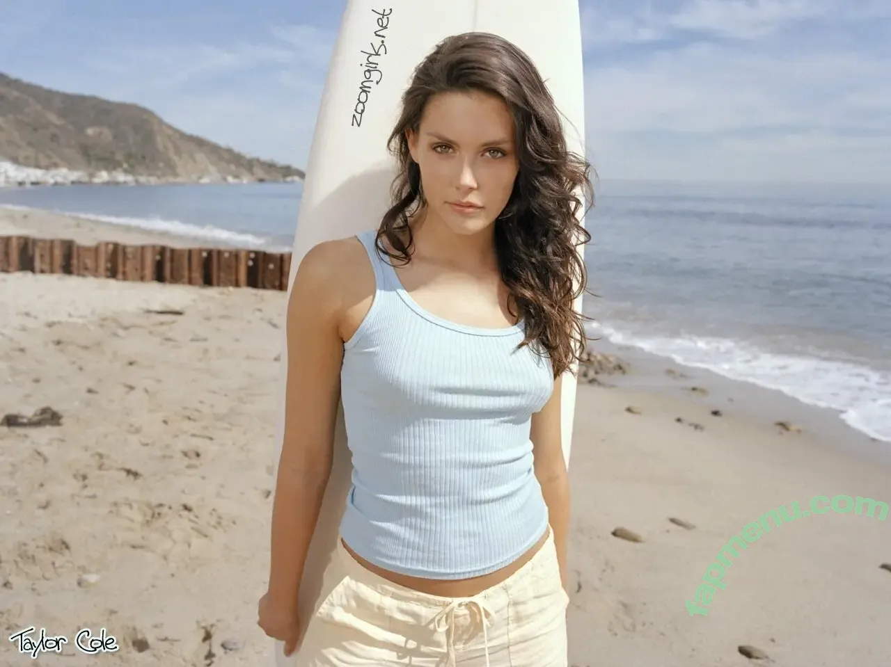 Taylor Cole nude photo #0036 (taylorquinncole)