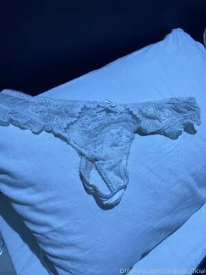 terrijaneofficial / tjglamour_1 nude photo #0773