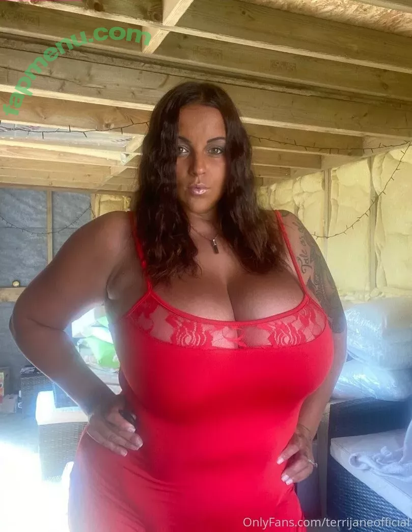 terrijaneofficial nude photo #0513 (tjglamour_1)