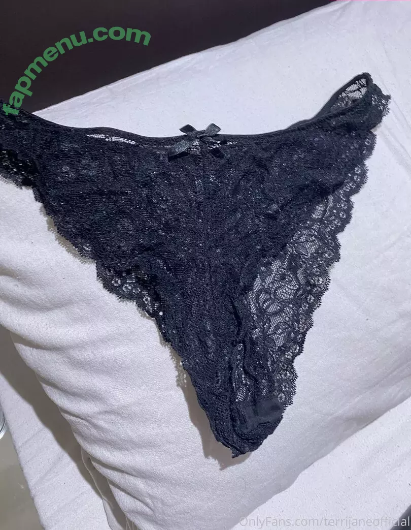 terrijaneofficial nude photo #0769 (tjglamour_1)