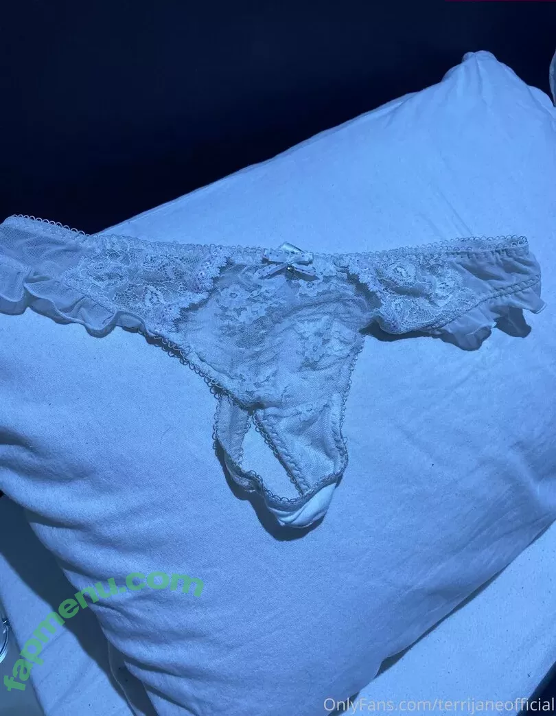 terrijaneofficial nude photo #0773 (tjglamour_1)