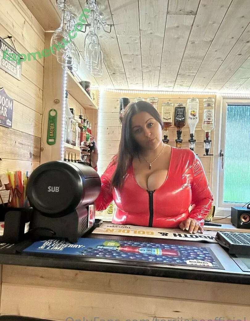 terrijaneofficial nude photo #1057 (tjglamour_1)