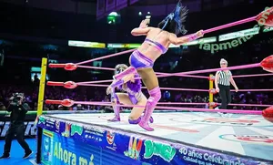 Tessa Blanchard / Wrestler / tessa_blanchard nude photo #0210