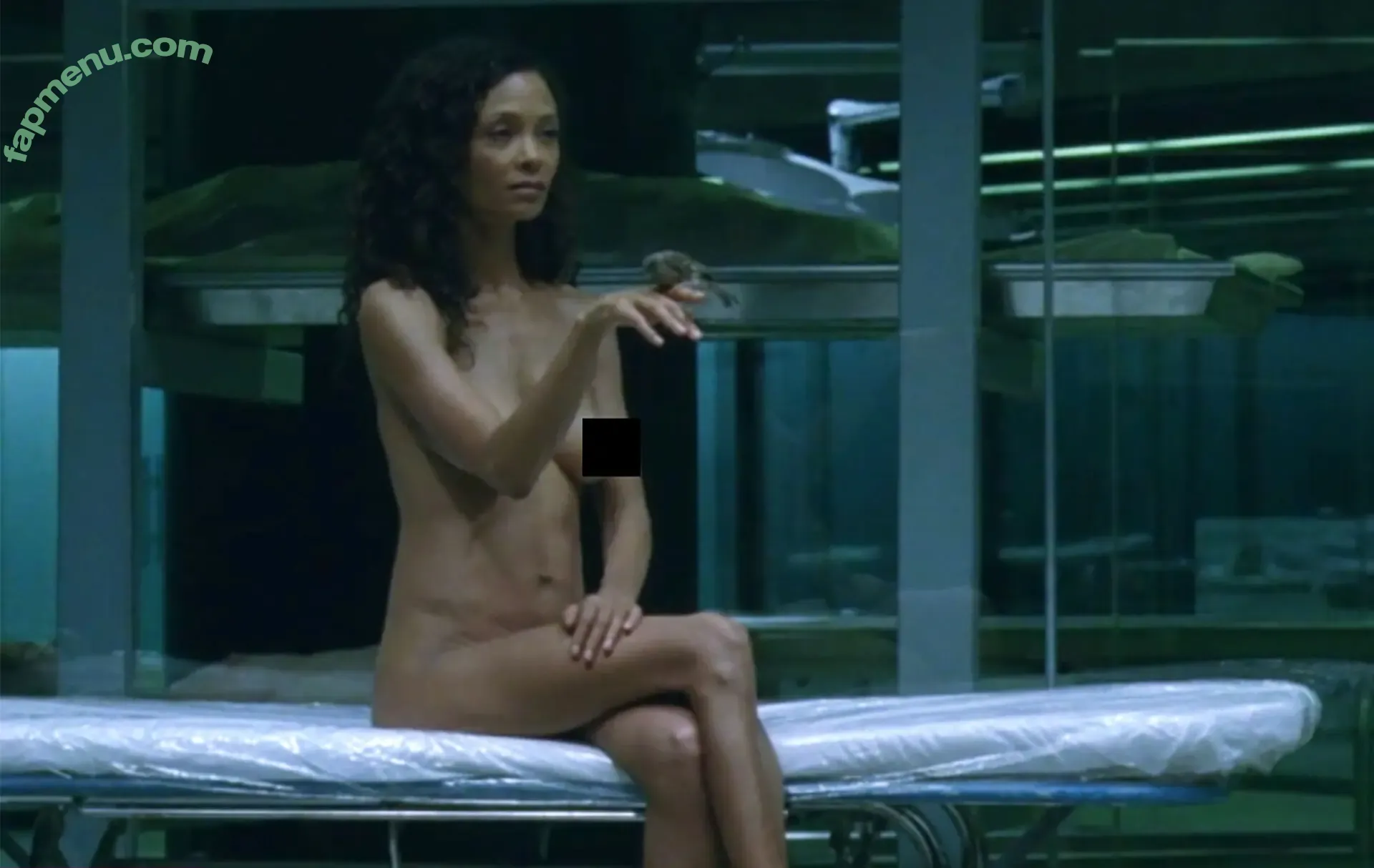 Thandie Newton nude photo #0137 (ThandiweNewton / thanddd)