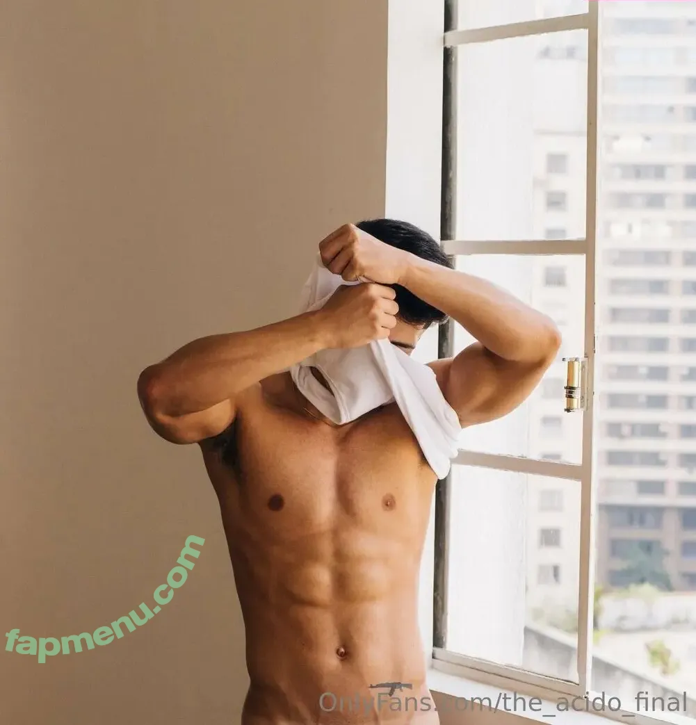 the_acido_final nude photo #0214 (the_acido)