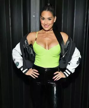 The Bella Twins: / Nikki Bella & Brie Bella / thenikkibella nude photo #0158