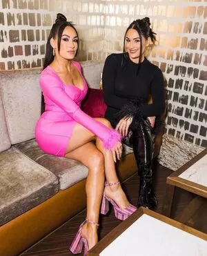 The Bella Twins: / Nikki Bella & Brie Bella / thenikkibella nude photo #0160